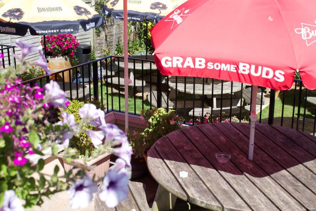 The Pilot Inn Eastbourne Kültér fotó